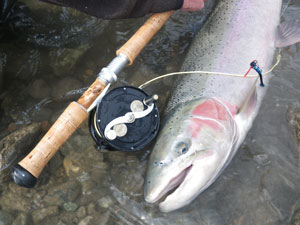 Riverwatch Rods