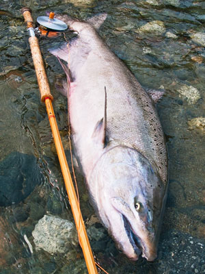 fishing