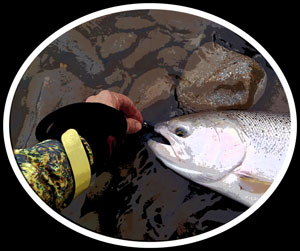 fishing