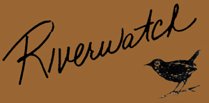 Riverwatch Rods